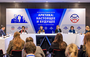 Как применять потенциал творческих проектов для развития Арктики