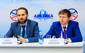 Эксперт НИЦ "Строительство" представил опыт проектирования объектов для Арктики